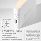 Rechargeable Motion-Activated Soft Lights