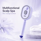 Electric Mist-Spraying Massage Cushion Brush