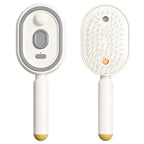 Electric Mist-Spraying Massage Cushion Brush