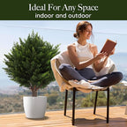 UV Resistant Artificial Cedar Topiary Ball Tree