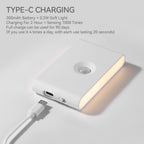 Rechargeable Motion-Activated Soft Lights